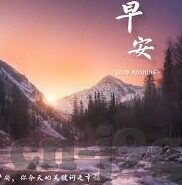 西甲直播 足球比分-西甲直播，足球比分背后的激情与梦想